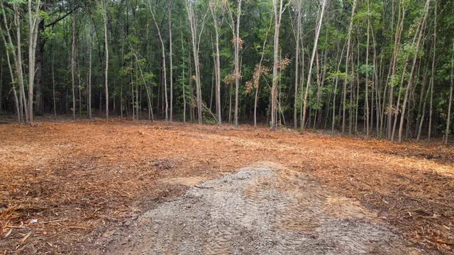 $69,000 | 2 Francis Marion Boulevard, Summerton, SC 29148