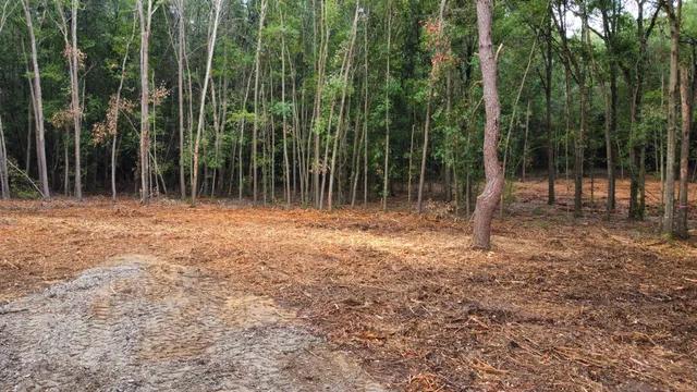 $69,000 | 2 Francis Marion Boulevard, Summerton, SC 29148