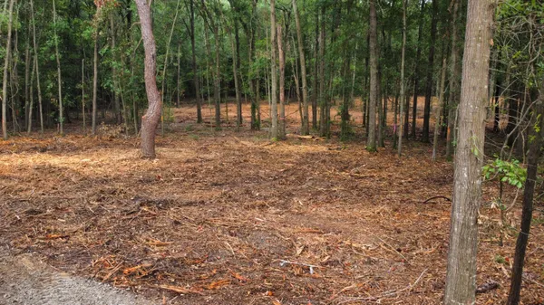 $69,000 | 2 Francis Marion Boulevard, Summerton, SC 29148