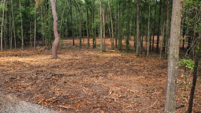 $69,000 | 2 Francis Marion Boulevard, Summerton, SC 29148