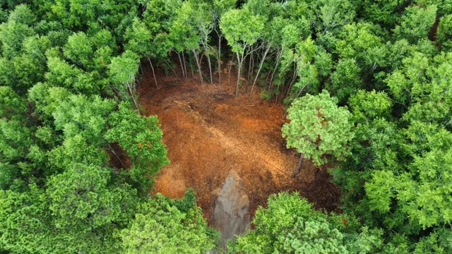 $69,000 | 2 Francis Marion Boulevard, Summerton, SC 29148