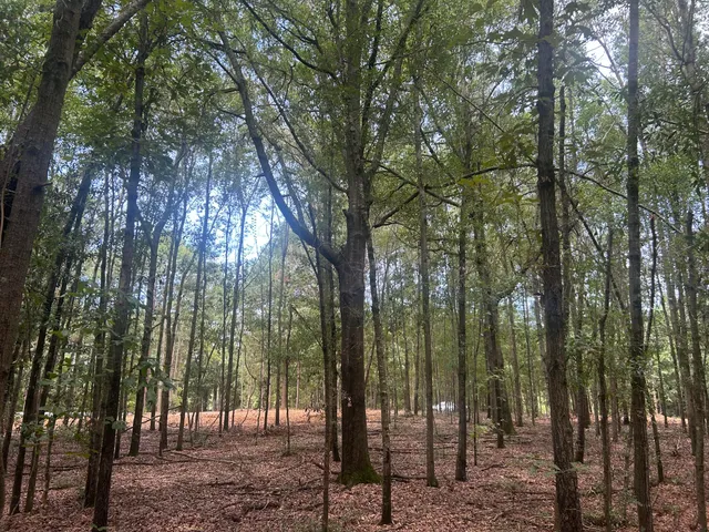 $69,000 | 2 Francis Marion Boulevard, Summerton, SC 29148