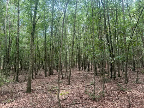 $69,000 | 2 Francis Marion Boulevard, Summerton, SC 29148