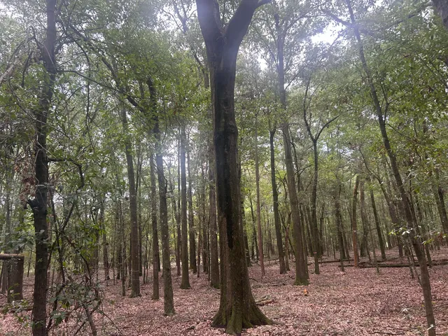 $69,000 | 2 Francis Marion Boulevard, Summerton, SC 29148