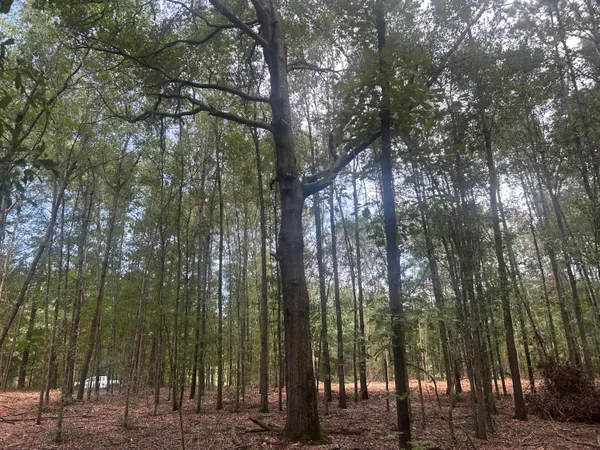 $69,000 | 2 Francis Marion Boulevard, Summerton, SC 29148