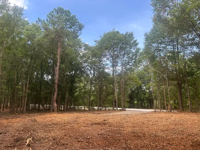 $69,000 | 2 Francis Marion Boulevard, Summerton, SC 29148