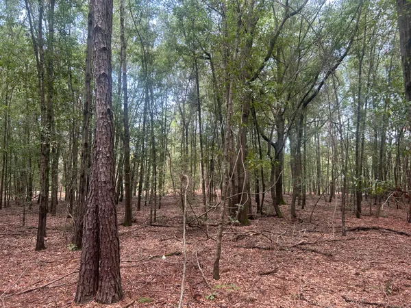 $69,000 | 2 Francis Marion Boulevard, Summerton, SC 29148