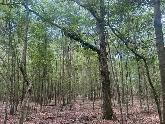 $69,000 | 2 Francis Marion Boulevard, Summerton, SC 29148