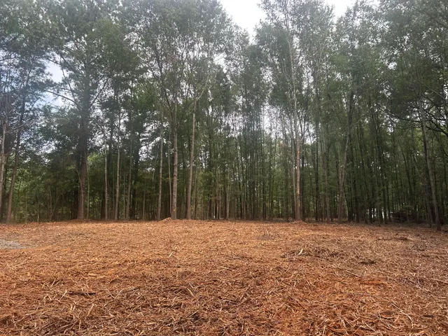 $69,000 | 2 Francis Marion Boulevard, Summerton, SC 29148