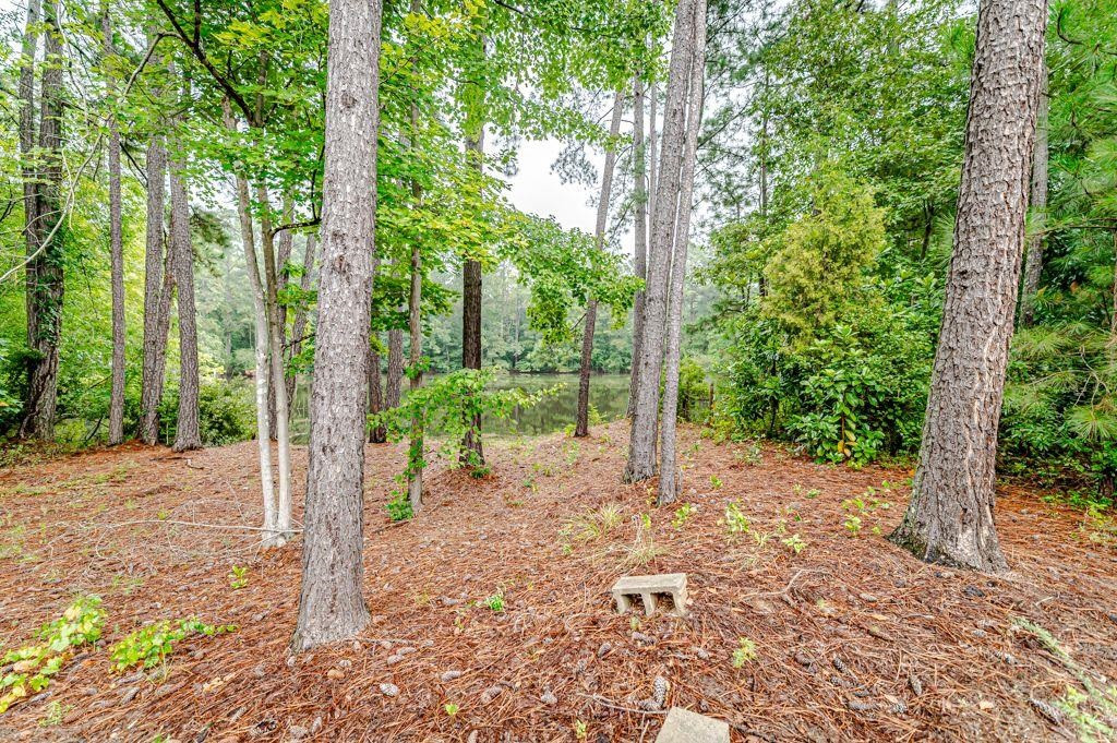 3734 Carbonton Road Sanford, NC 27330 - Photo 35 of 38 Photo 35