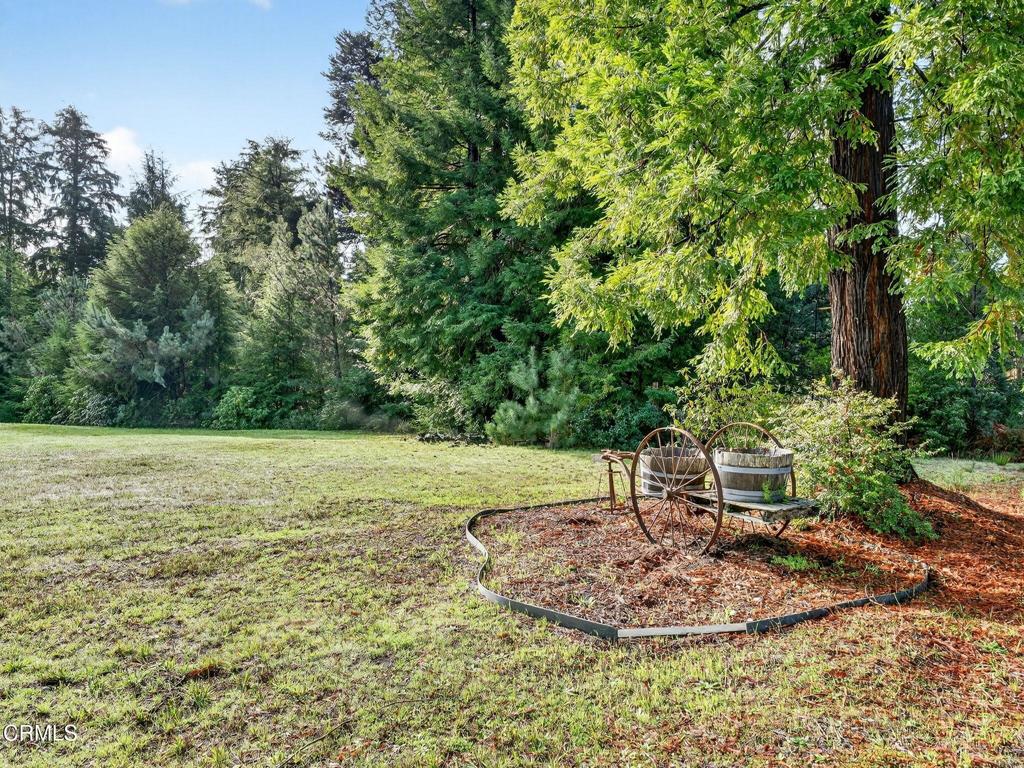 18970 Quail Lane Fort Bragg, CA 95437 - Photo 27 of 36 a view of a backyard