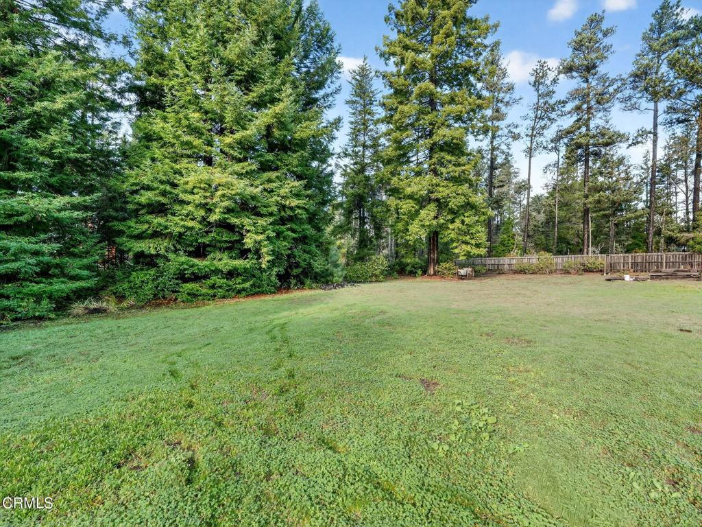 18970 Quail Lane Fort Bragg, CA 95437 - Photo 30 of 36 a view of an outdoor space and a yard