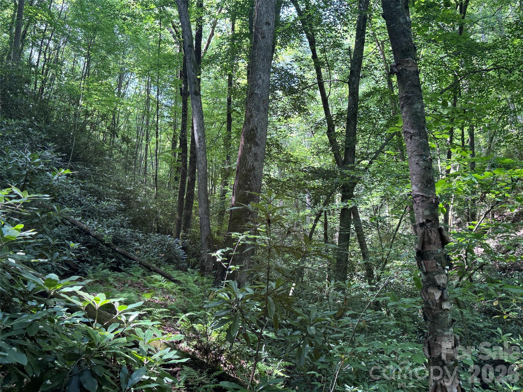 10 A Reserve Road Pisgah Forest, NC 28768 - Photo 8 of 33