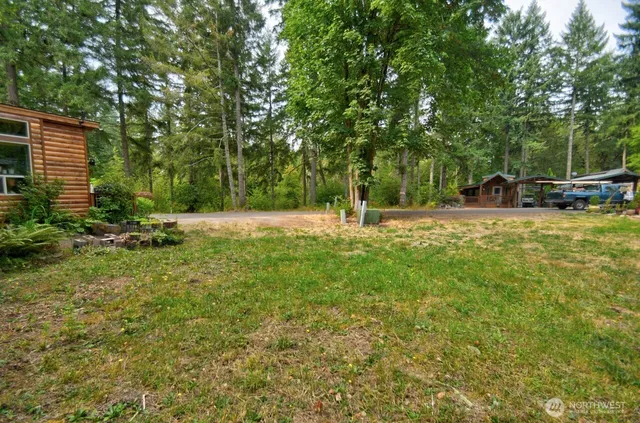 a view of backyard with tree