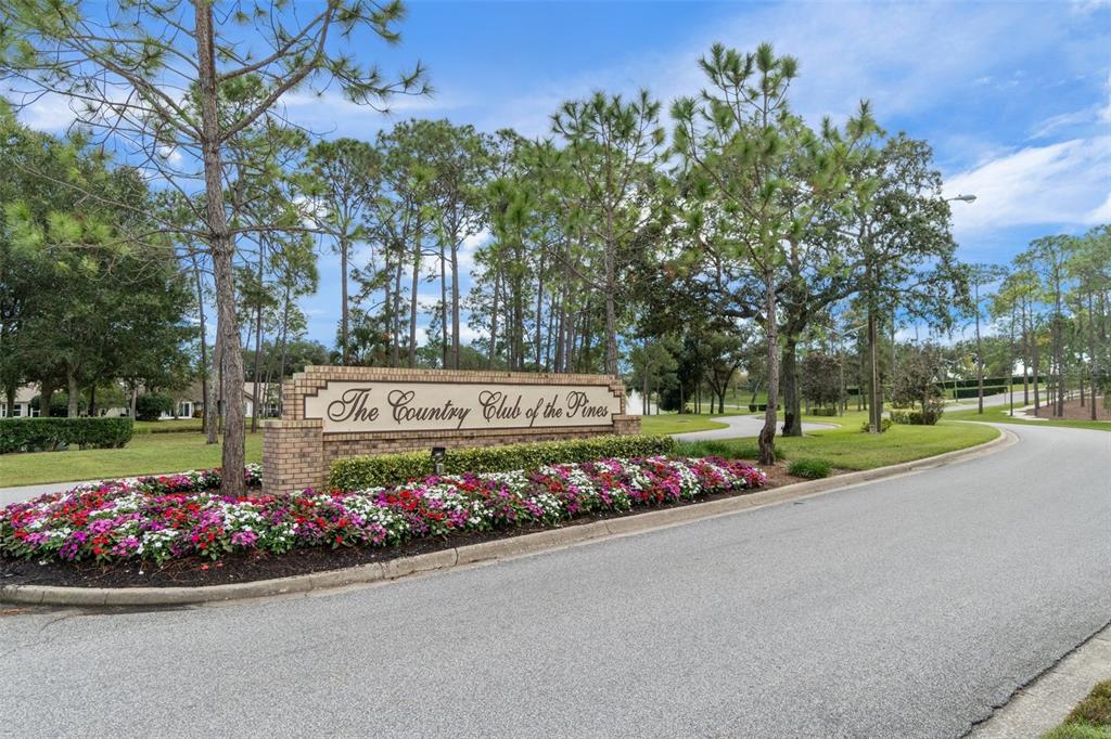 2695 Royal Ridge Drive Spring Hill, FL 34606 - Photo 69 of 74 Gallery Image 69