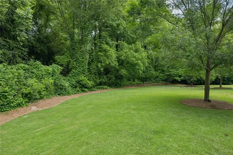 a view of a park with a tree