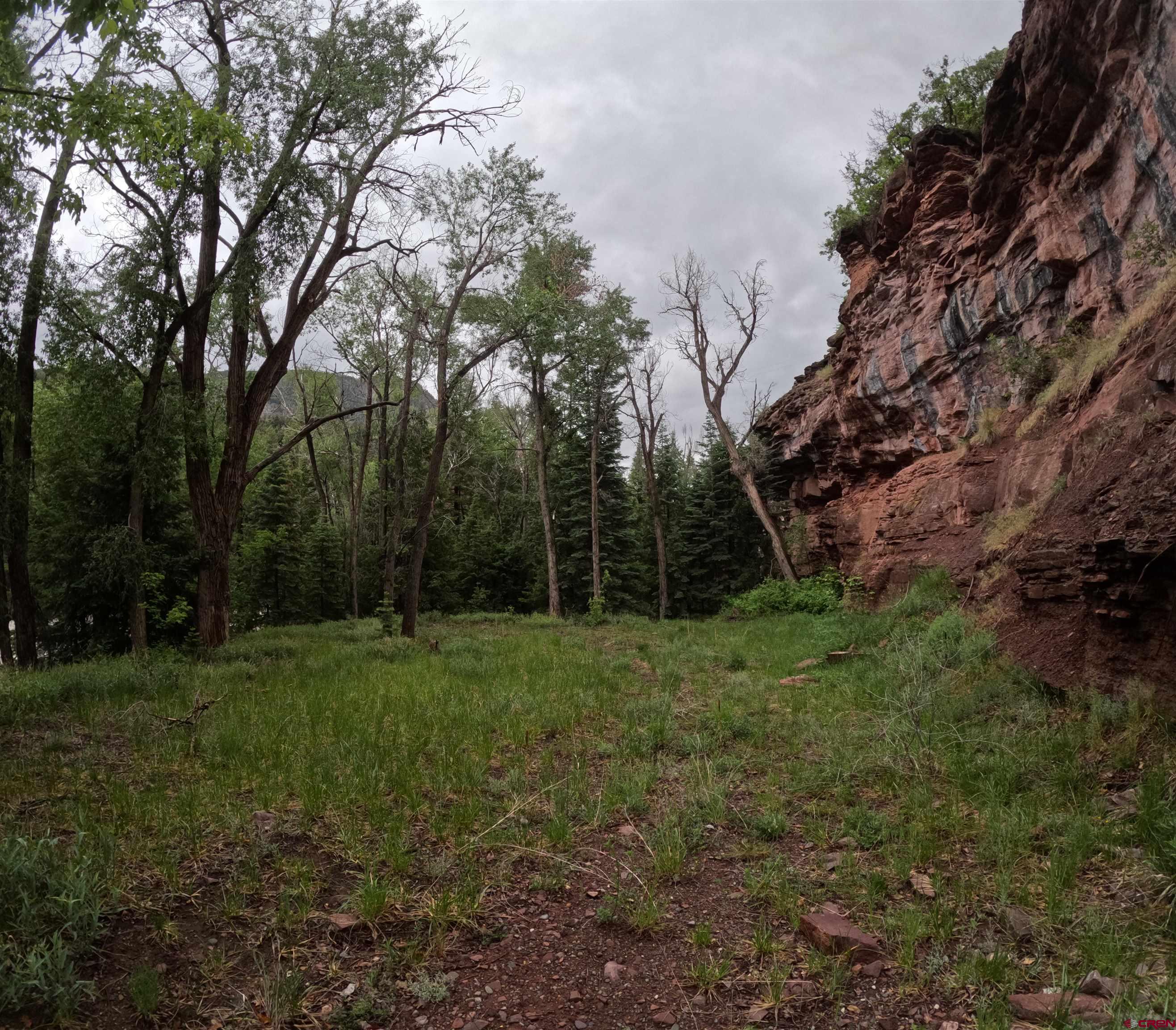 17 County Road 17 Ridgway, CO 81432 - Photo 11 of 15 a view of a big yard with plants and large trees