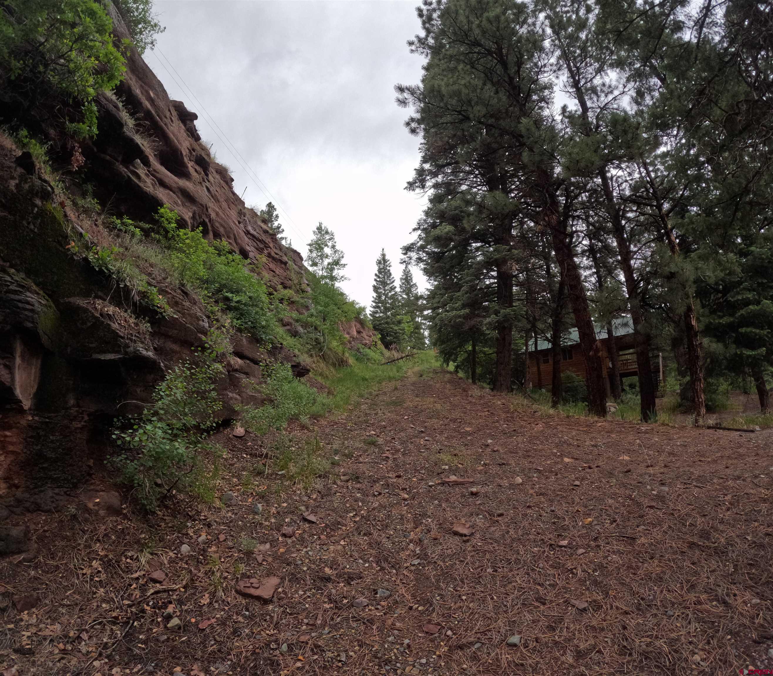 17 County Road 17 Ridgway, CO 81432 - Photo 13 of 15 a view of outdoor space with trees all around