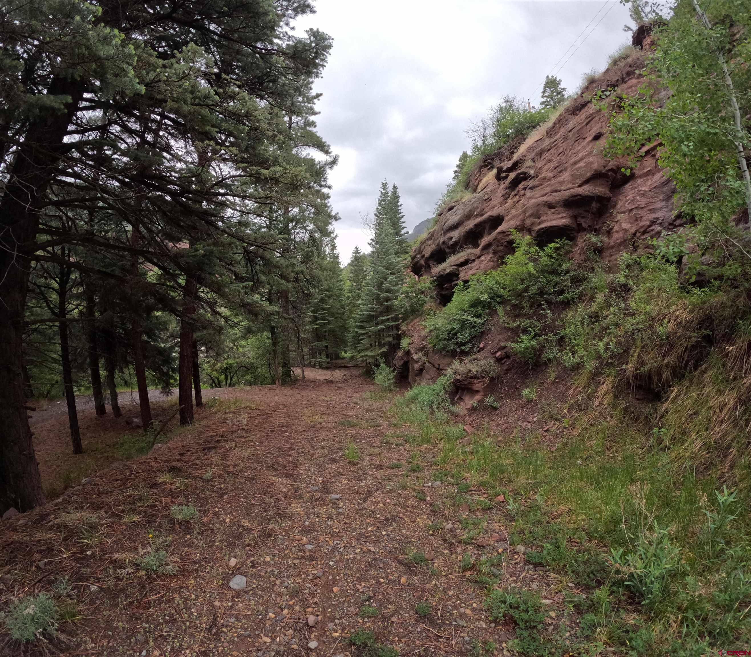 17 County Road 17 Ridgway, CO 81432 - Photo 14 of 15 a big yard with lots of green space