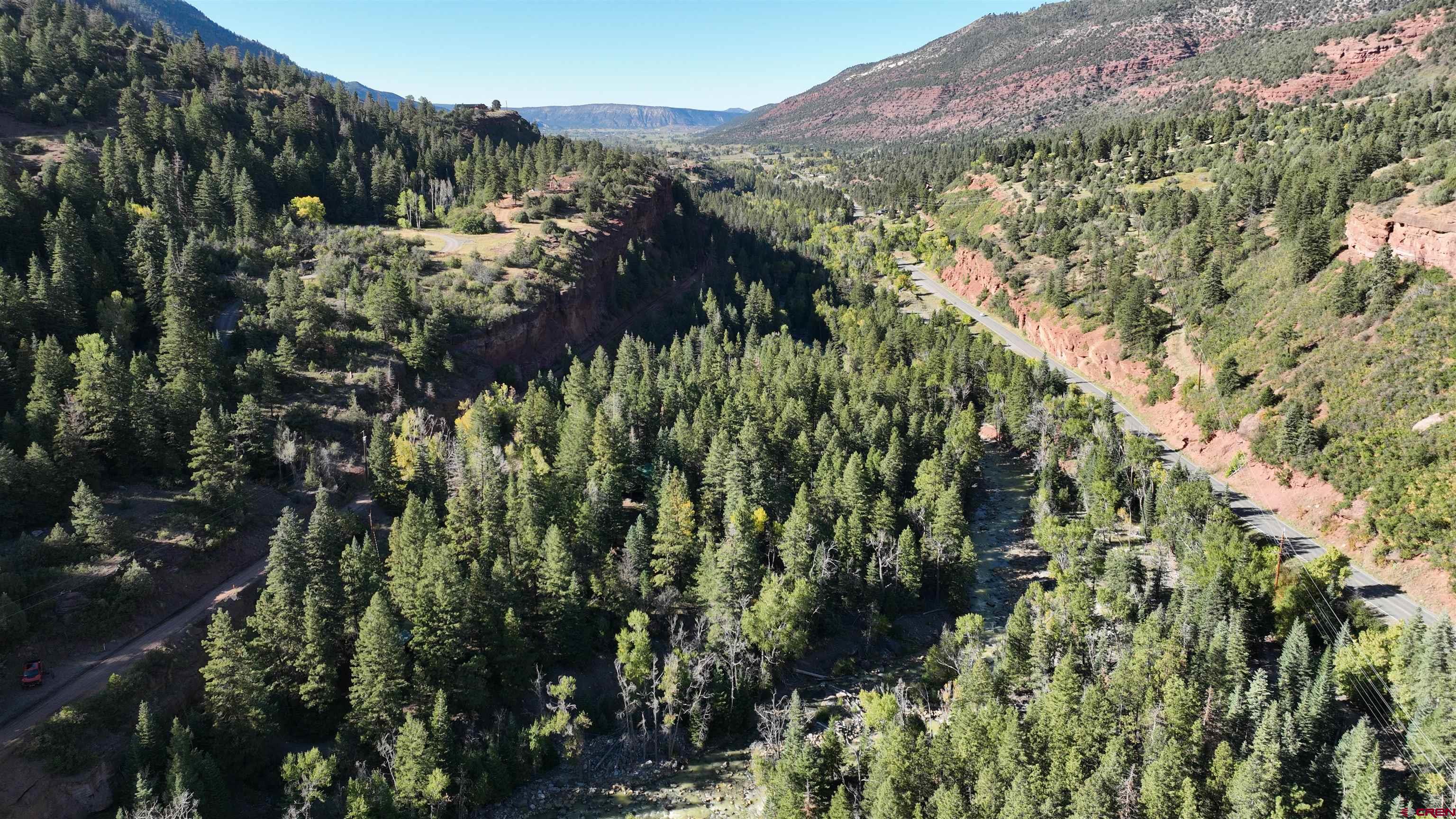 17 County Road 17 Ridgway, CO 81432 - Photo 3 of 15 a view of a forest with a street