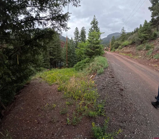 a big yard with lots of green space and deers