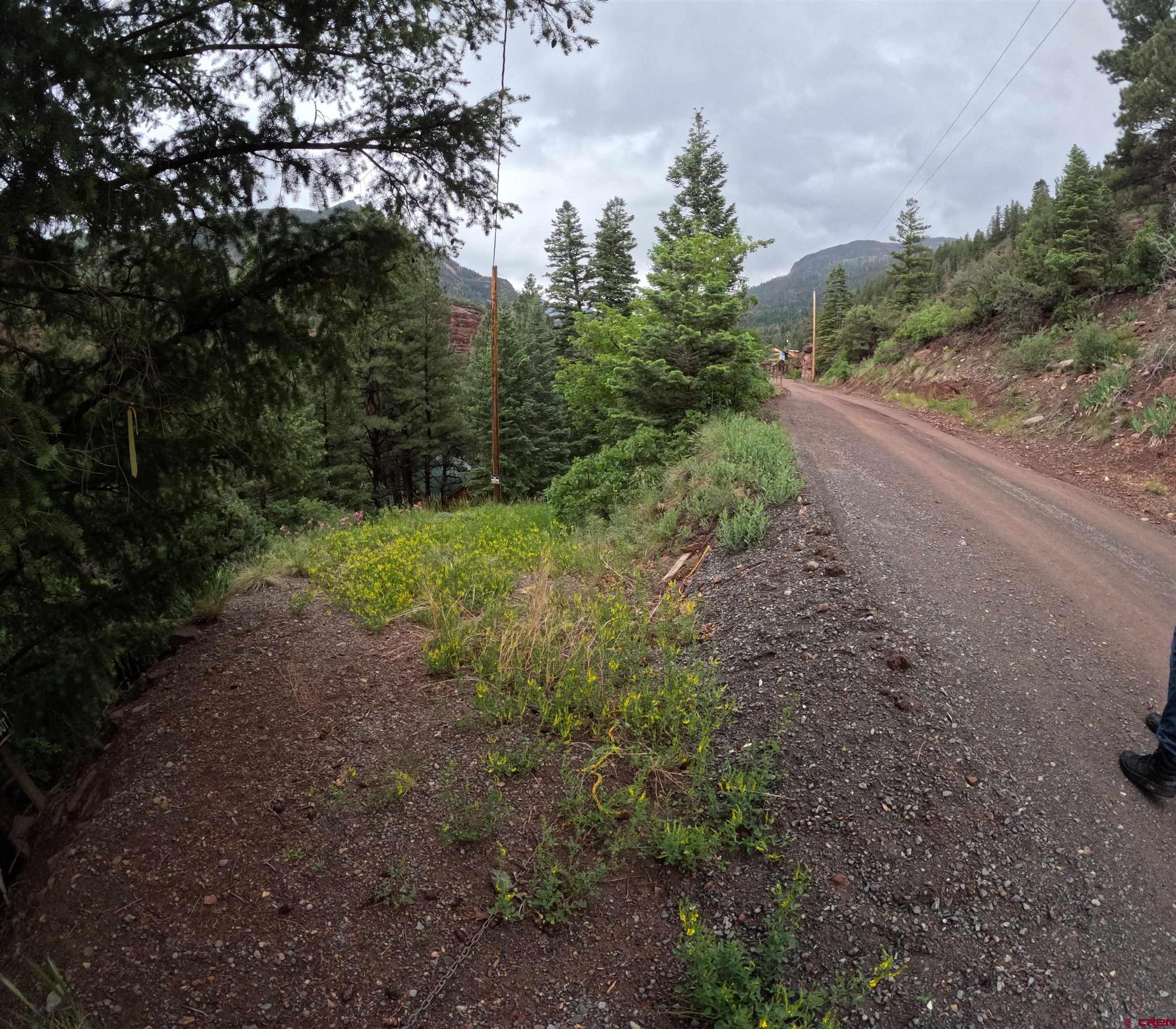 17 County Road 17 Ridgway, CO 81432 - Photo 5 of 15 a big yard with lots of green space and deers