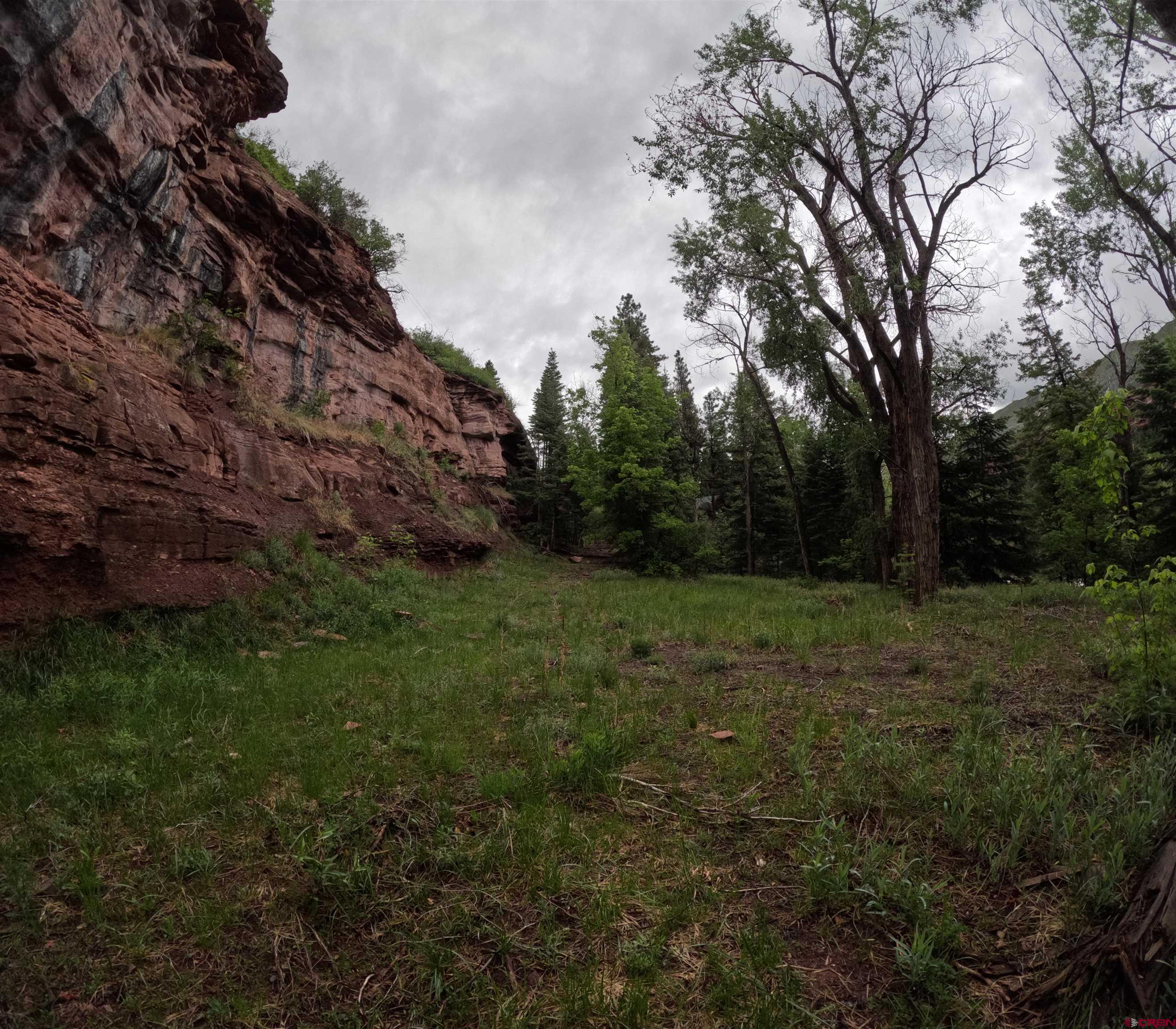 17 County Road 17 Ridgway, CO 81432 - Photo 6 of 15 a view of outdoor space and yard
