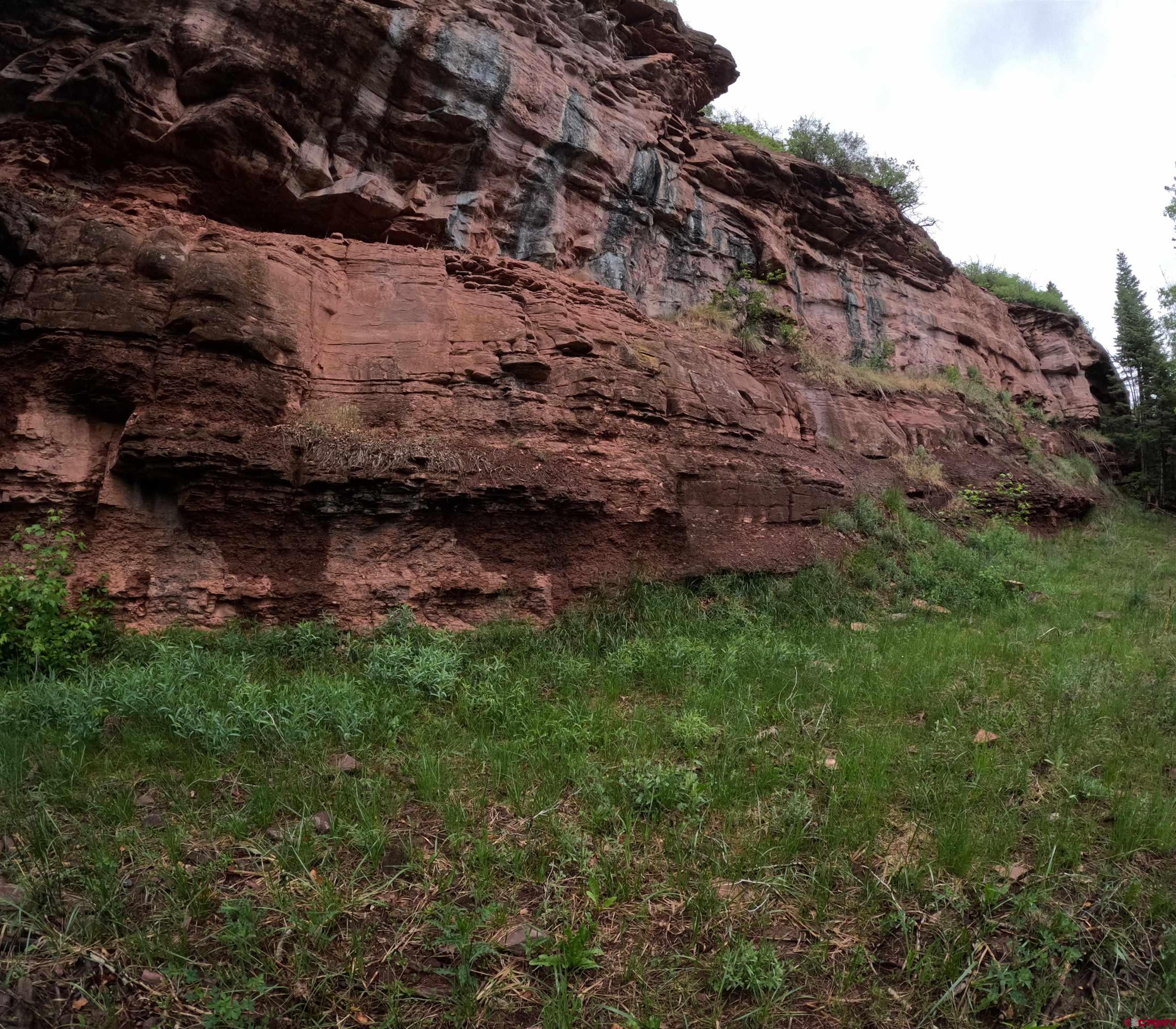 17 County Road 17 Ridgway, CO 81432 - Photo 7 of 15 a view of a backyard of the house