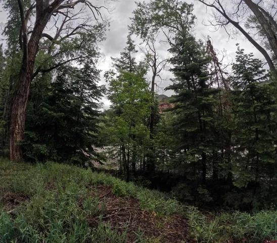 a view of outdoor space and garden