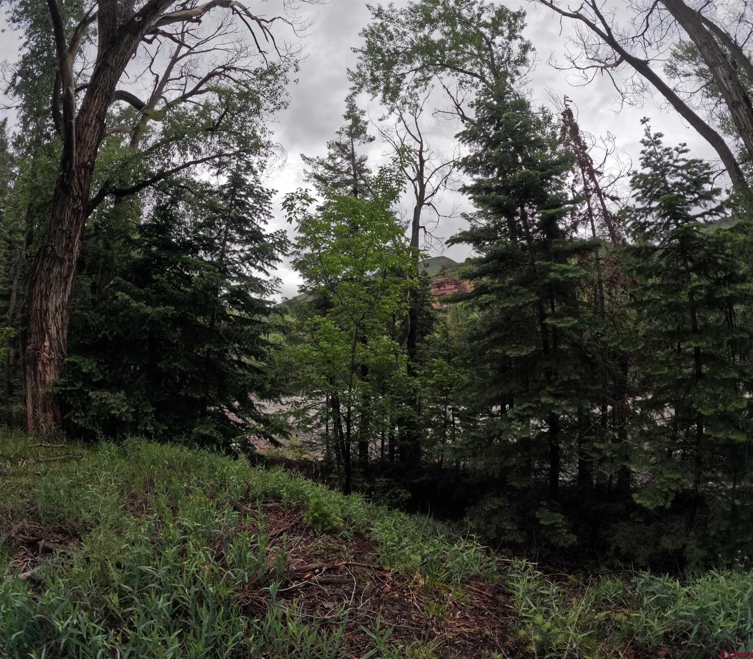 17 County Road 17 Ridgway, CO 81432 - Photo 8 of 15 a view of outdoor space and garden