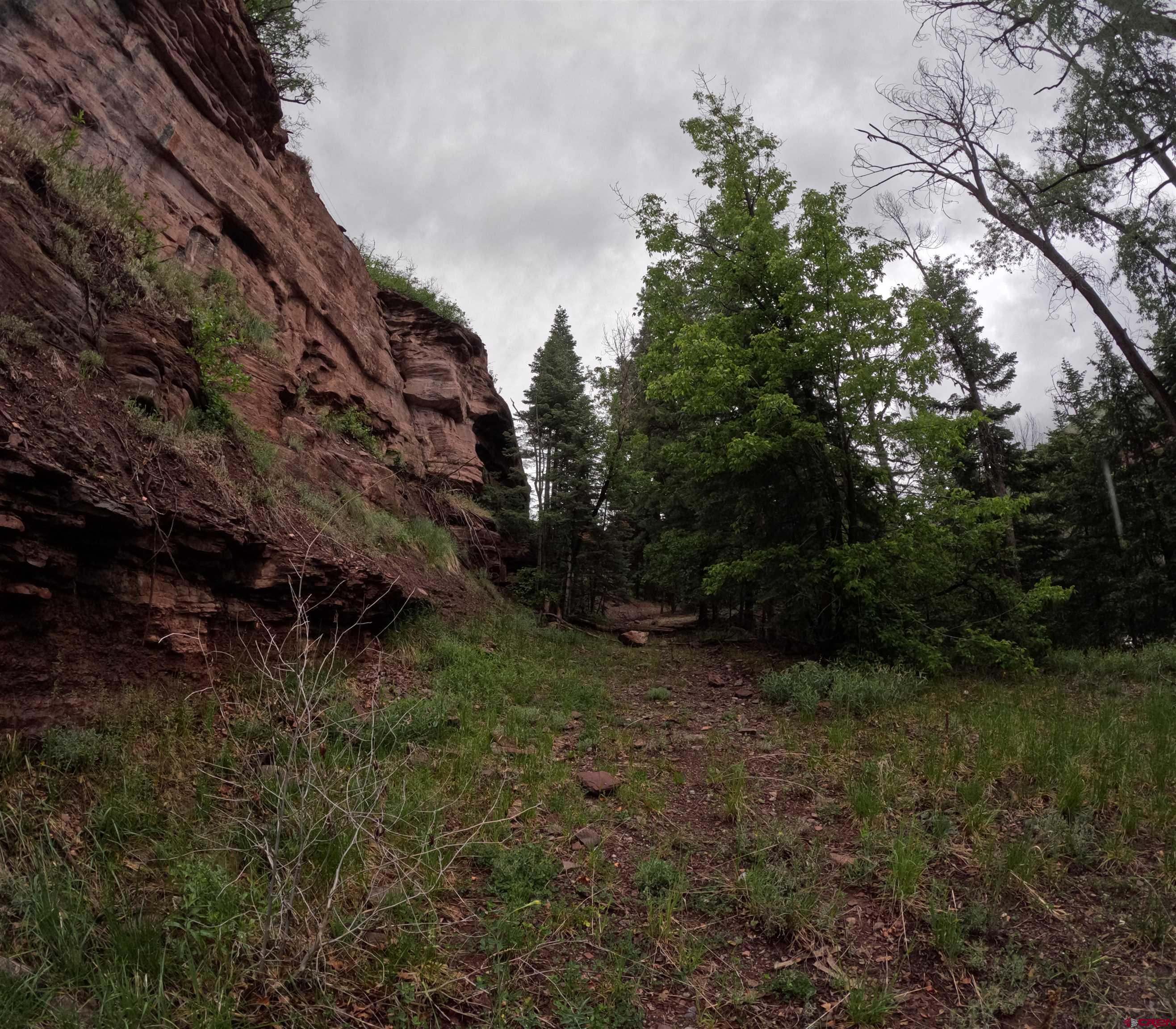 17 County Road 17 Ridgway, CO 81432 - Photo 10 of 15 a big yard with lots of green space
