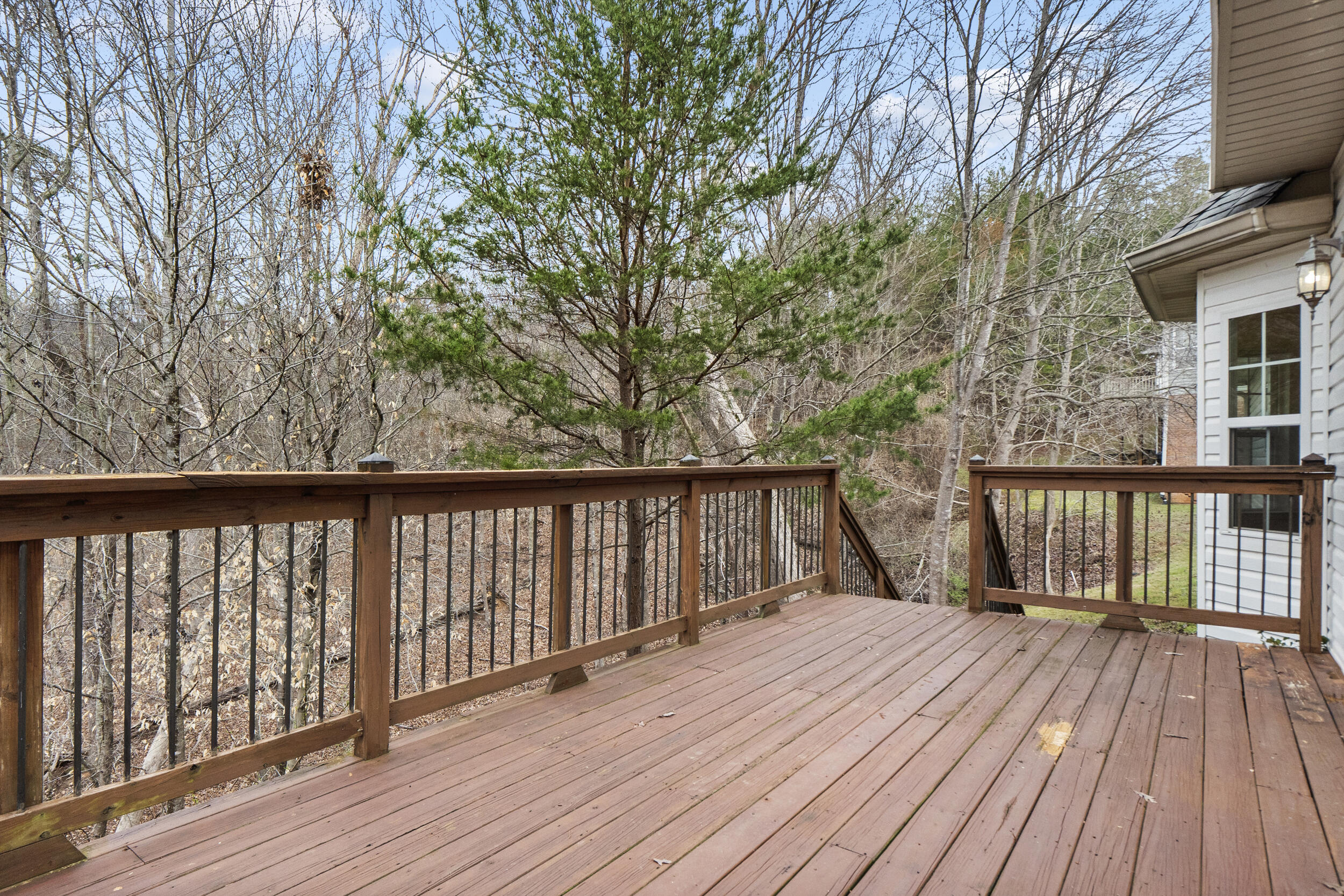 5542 Ginkgo Road Ooltewah, TN 37363 - Photo 35 of 43 dsc04397