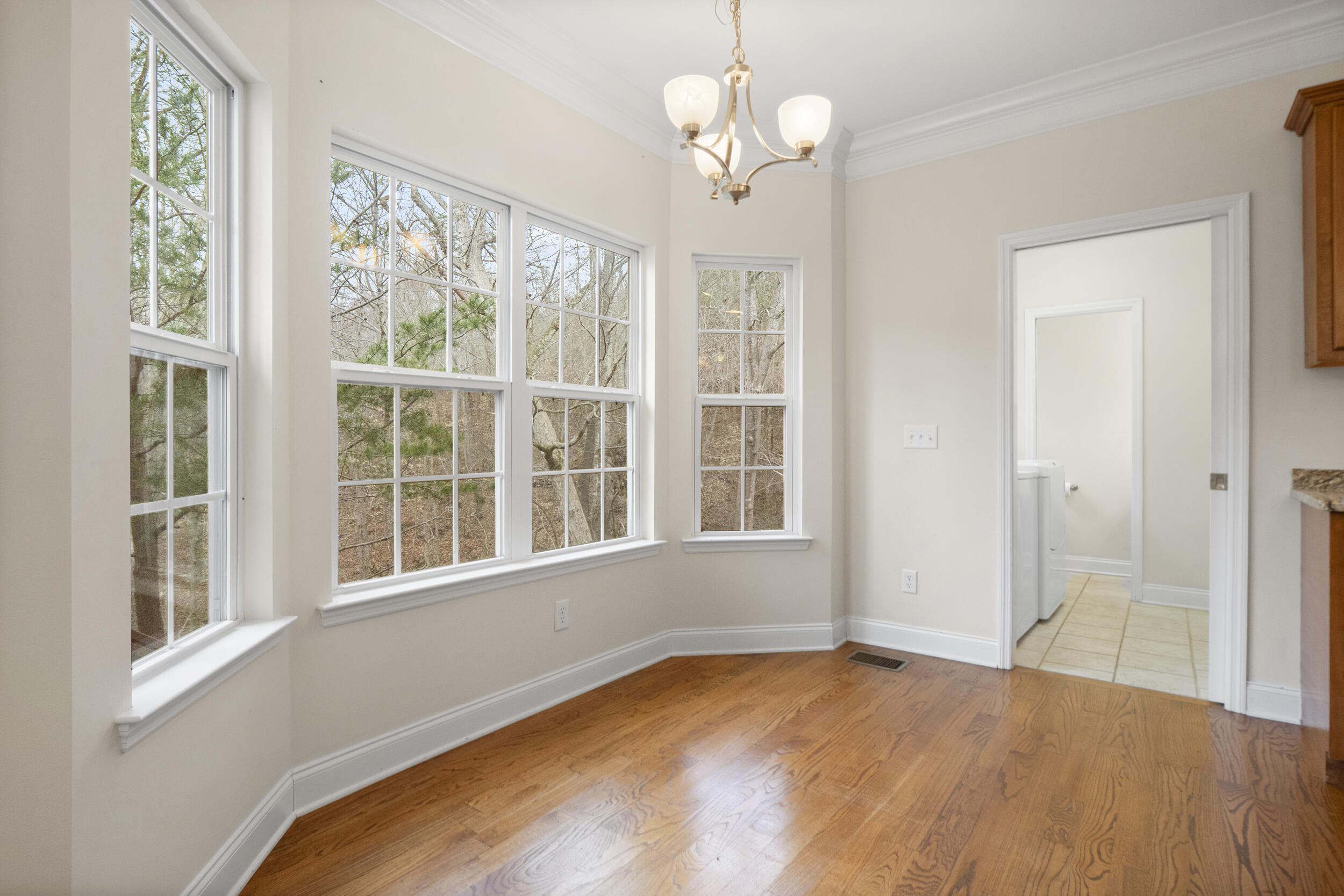 5542 Ginkgo Road Ooltewah, TN 37363 - Photo 36 of 43 dsc04403