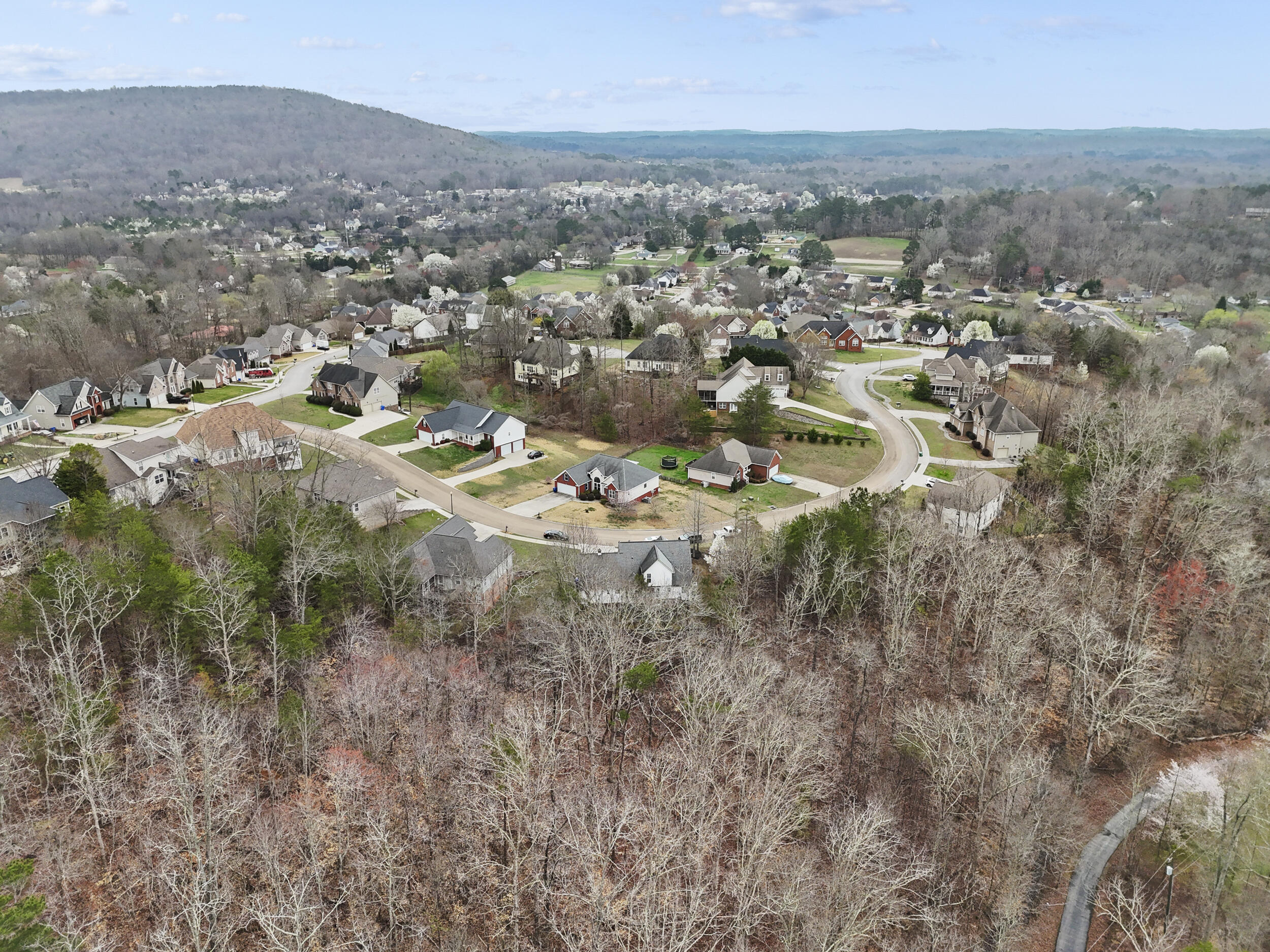 5542 Ginkgo Road Ooltewah, TN 37363 - Photo 40 of 43 dji_20260310001144_0639_d