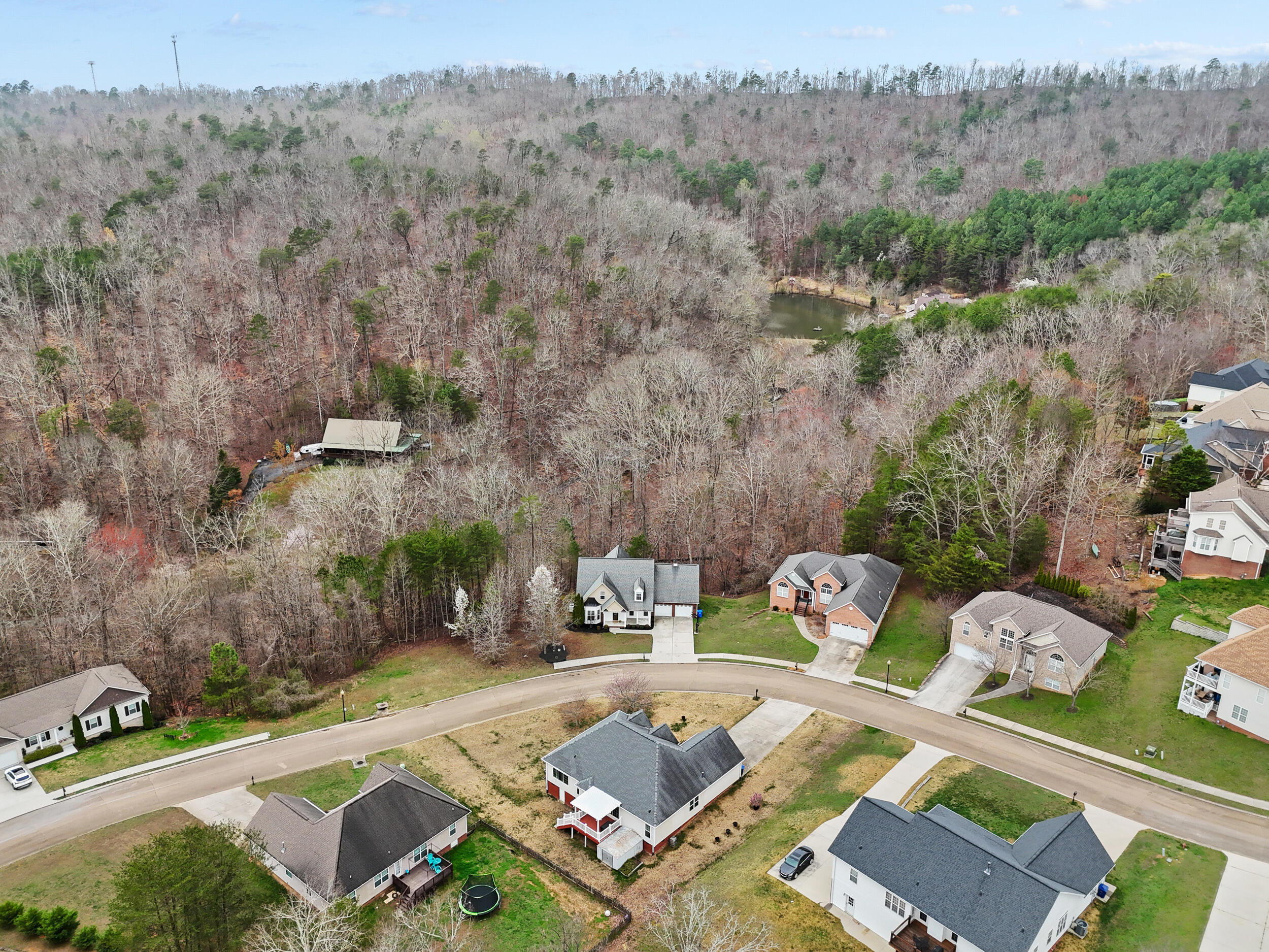 5542 Ginkgo Road Ooltewah, TN 37363 - Photo 4 of 43 dji_20260310000839_0629_d