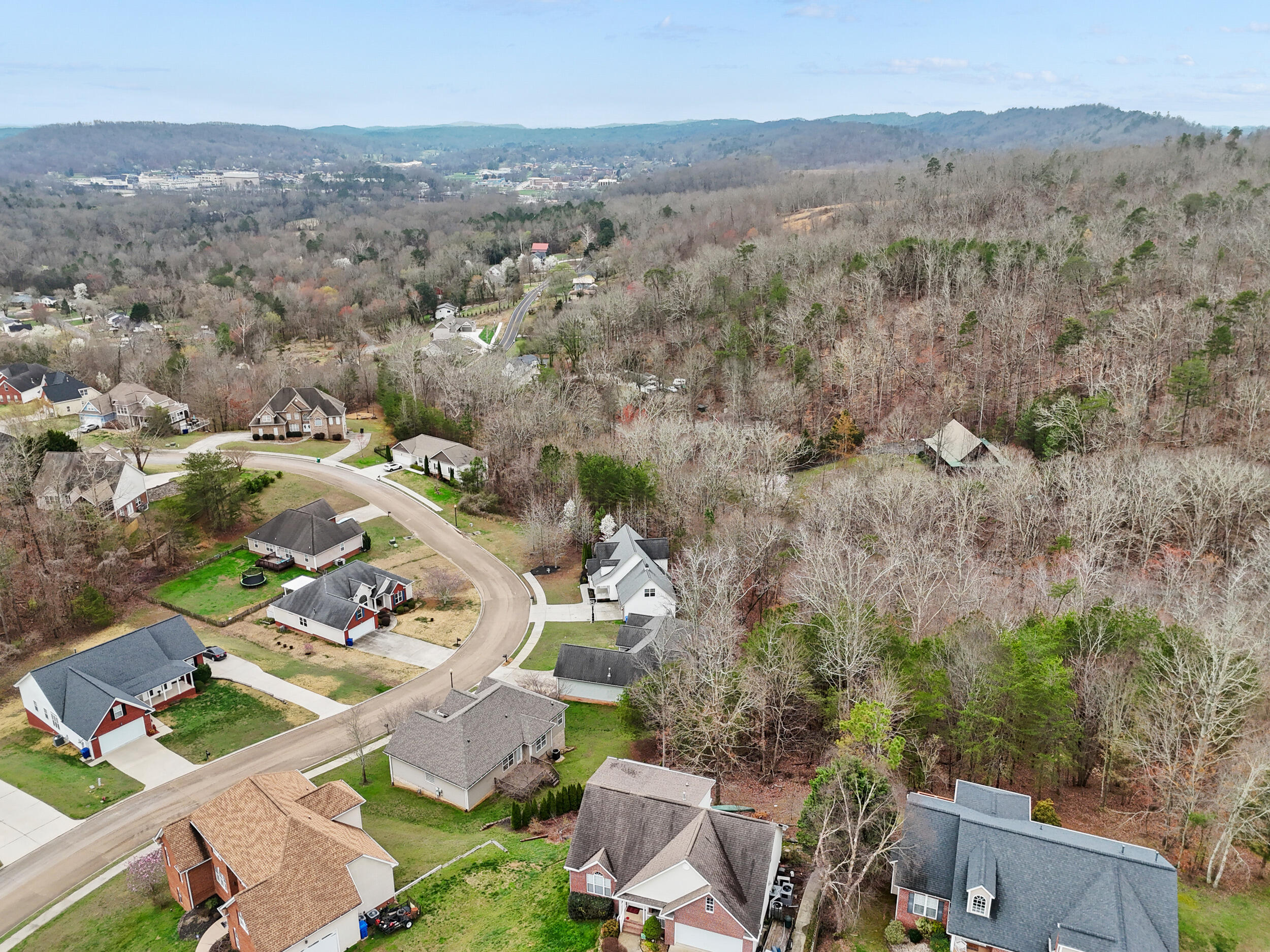 5542 Ginkgo Road Ooltewah, TN 37363 - Photo 41 of 43 dji_20260310001122_0634_d