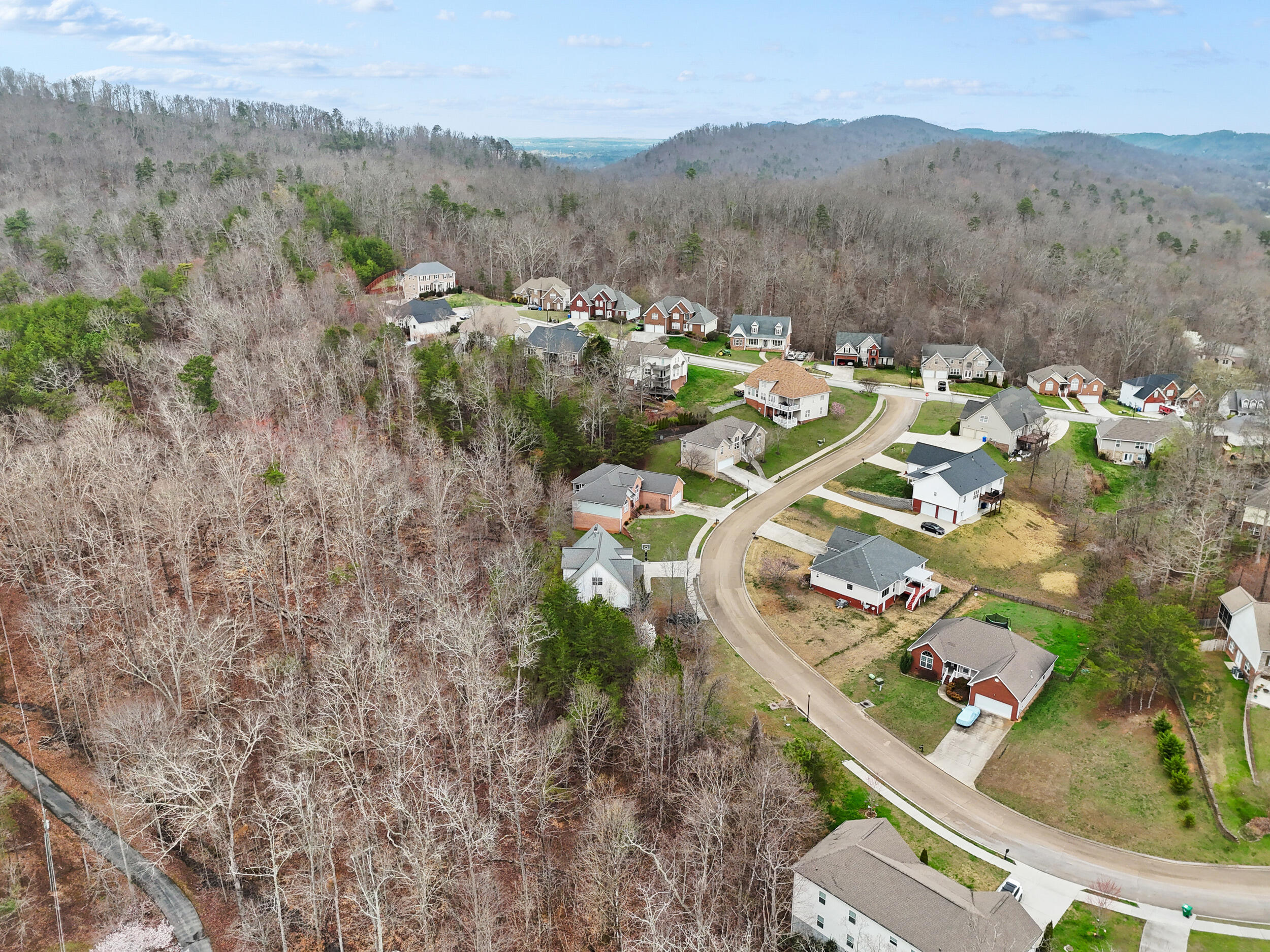 5542 Ginkgo Road Ooltewah, TN 37363 - Photo 42 of 43 dji_20260310001210_0644_d
