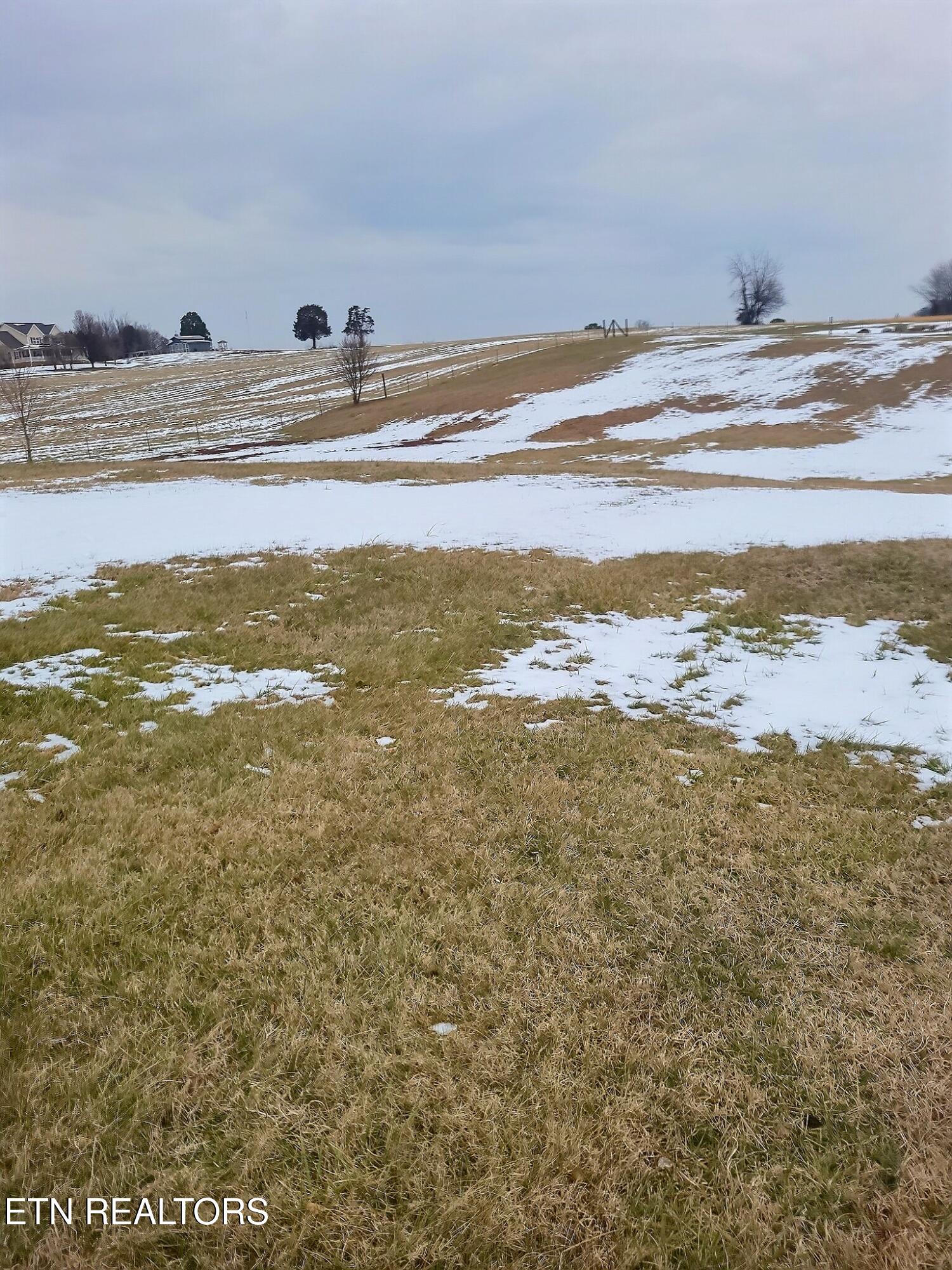 3750 Sinking Creek Road Greenback, TN 37742 - Photo 23 of 23 exposio_133535710