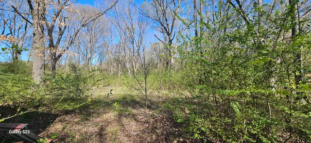 a view of backyard with green space