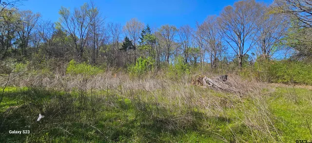 a view of backyard with plants and trees