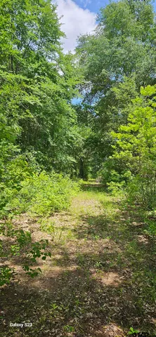 $114,900 | 2415 Farm To Market Road 17, Alba, TX 75410