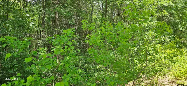 $114,900 | 2415 Farm To Market Road 17, Alba, TX 75410