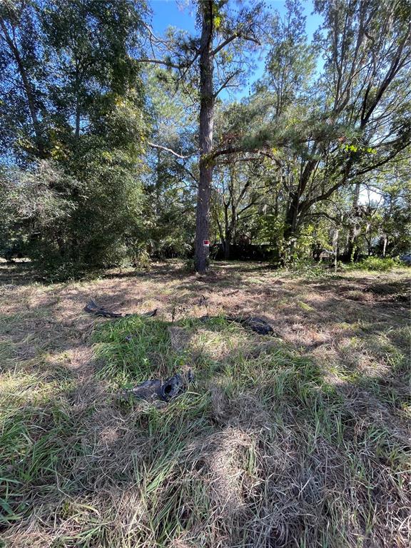 2330 East University Avenue Gainesville, FL 32641 - Photo 4 of 8