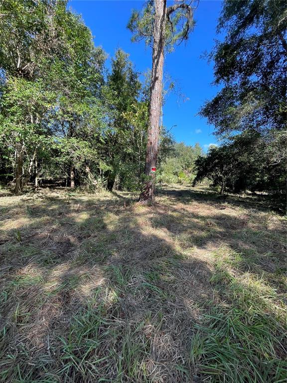 2330 East University Avenue Gainesville, FL 32641 - Photo 5 of 8