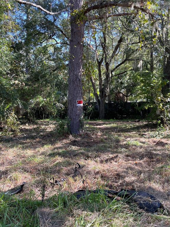 2330 East University Avenue Gainesville, FL 32641 - Photo 6 of 8