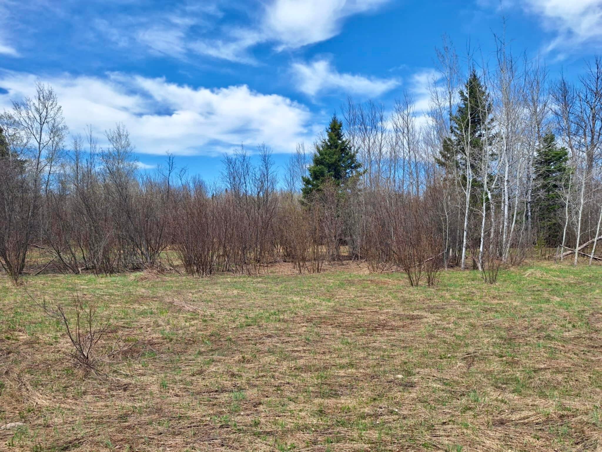 Tbd South Piche Side Road Brimley, MI 49715 - Photo 6 of 11 Gallery Image 6