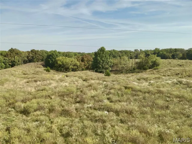 $199,500 | 0 State Hwy Y, Lewistown, MO 63452