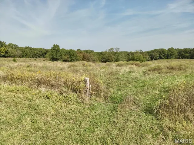 $199,500 | 0 State Hwy Y, Lewistown, MO 63452