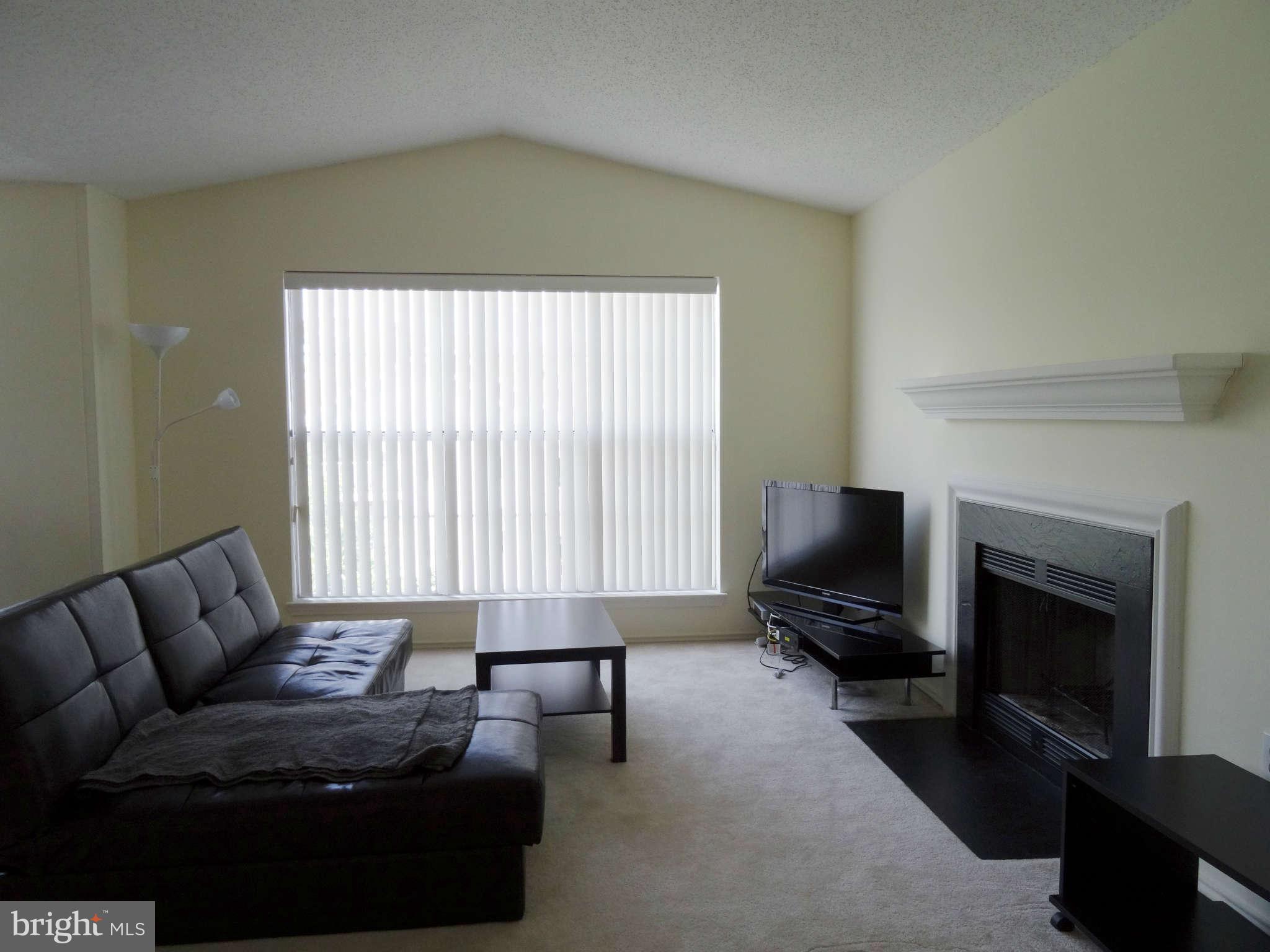 20951 Timber Ridge Terrace, Unit 301 Ashburn, VA 20147 - Photo 8 of 28 Living Room