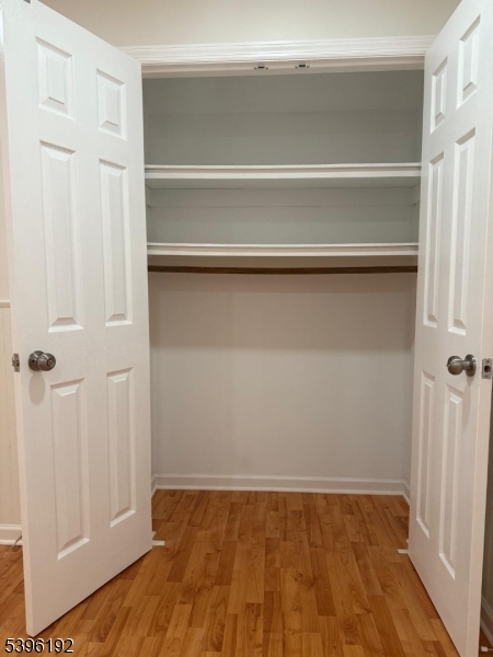 118 Bluebird Drive, Unit 3A Hillsborough, NJ 08844 - Photo 26 of 29 a view of closet